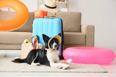 Evde bavulu, pasaportu ve seyahat aksesuarlarıyla şirin bir Collie köpeği var.