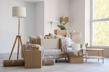 Karton kutularla kaplı kanepe ve taşınma günü odasındaki eşyalar.