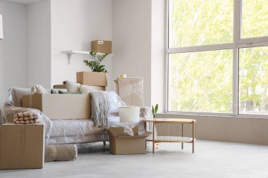 Karton kutularla kaplı kanepe ve taşınma günü odasındaki eşyalar.