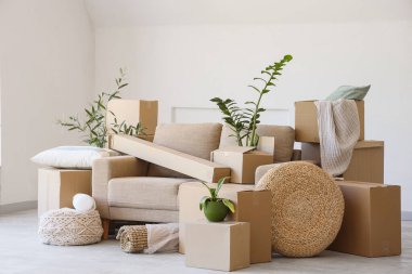 Taşındığı gün içinde karton kutular ve bitkiler olan gri kanepe.