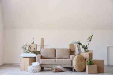 Taşındığı gün içinde karton kutular ve bitkiler olan gri kanepe.