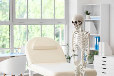 Tıp ofisinde insan iskeleti modeli