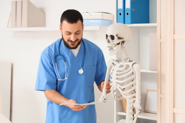 Erkek doktor klinikte insan iskeleti modelinin kol kemiğini inceliyor.