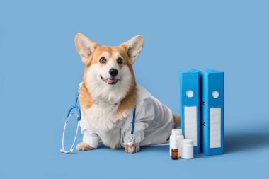 Mavi arka planda klasörleri ve ilaçları olan doktor üniformalı şirin Corgi köpeği.