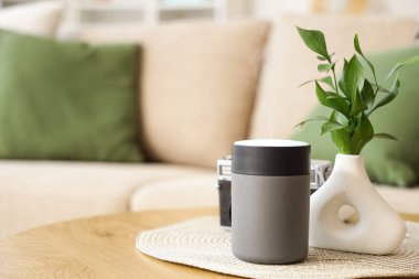 Oturma odasındaki masa üzerinde bitki dalları olan hava nemlendirici ve vazo.