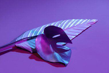 Mor arkaplanda farklı neon yapraklar, yakın plan