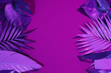 Mor arkaplanda farklı neon yapraklar