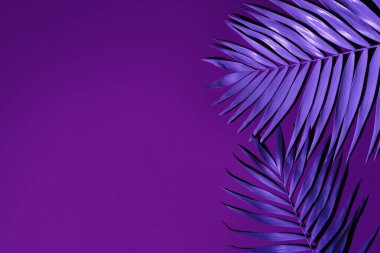 Mor arkaplanda neon tropikal palmiye yaprakları