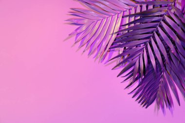 Pembe arka planda neon tropikal palmiye yaprakları