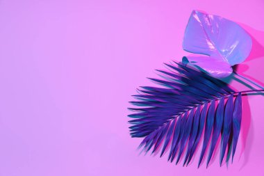 Neon tropikal canavar ve mor arka planda palmiye yaprakları