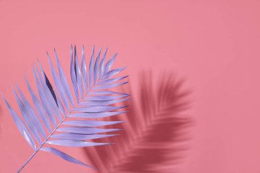 Pembe arka planda neon tropikal palmiye yaprağı