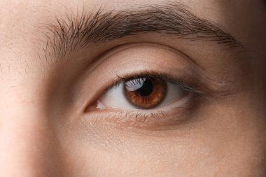 Young man with brown eyes, closeup