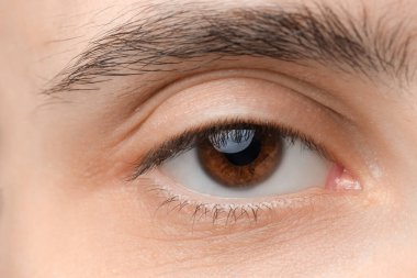 Young man with brown eyes, closeup