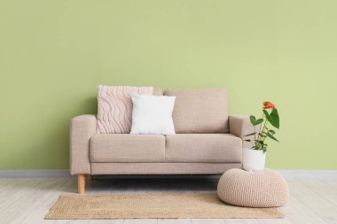 Oturma odasındaki kanepenin yanındaki puf üzerinde güzel bir Anthurium çiçeği.