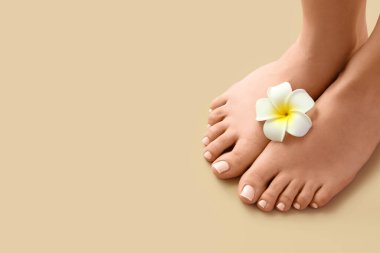 Bej arka planda taze pedikür ve çiçek olan genç bir kadının ayakları.