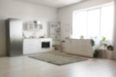 Modern buzdolabı, tezgah ve rafları olan bulanık mutfak manzarası