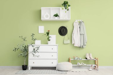 Palto askısı, ayakkabı standı ve klozeti olan şık bir koridor.