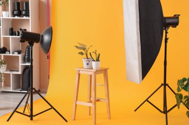 Fotoğraf stüdyosundaki sarı arka planda çiçekli tabure.