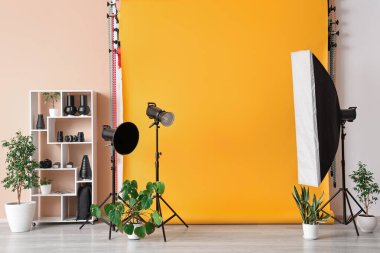 Ev bitkileri, raf ünitesi ve profesyonel ekipmanlı fotoğraf stüdyosunun içi.