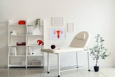 Kanepesi ve raf ünitesi olan jinekoloğun ofisi.