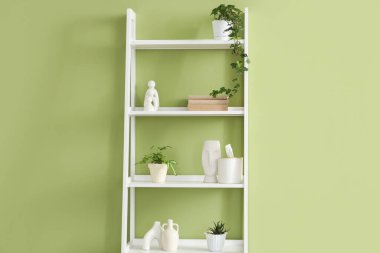 Yeşil duvarın yanında bitki ve dekor dolu kitaplık.