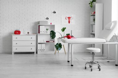 Kanepesi, raf ünitesi ve bitkileri olan jinekoloğun ofisi.