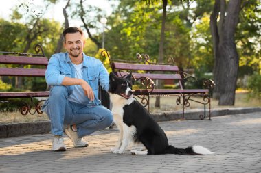 Parkta Collie köpeği olan genç bir adam var.