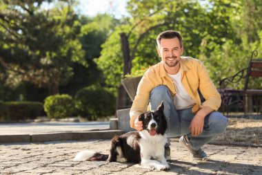 Parkta Collie köpeği olan genç bir adam.
