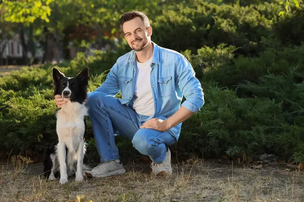 Parkta Collie köpeği olan genç bir adam var.