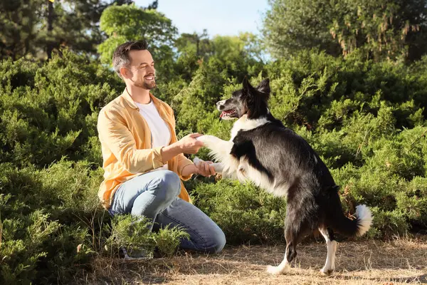 Genç adam parkta Collie 'nin patilerini tutuyor.
