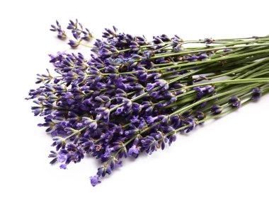 Beyaz arka planda bir demet güzel lavanta çiçeği, yakın plan.