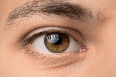 Fındık gözlü adam, yaklaş.