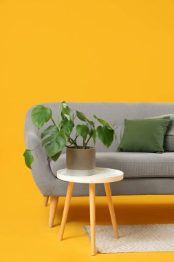 Modern oturma odası içi gri kanepe, yastıklar ve sarı arka planda masa.