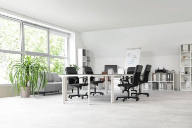 Büyük masası, koltukları, raf ünitesi ve saksısı olan ışık konferans salonu.