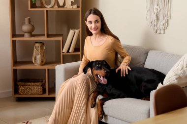 Tatlı Doberman köpeği ve evdeki kanepede oturan genç ve güzel bir kadın.