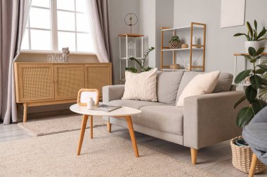 Kanepesi, tuvaleti ve penceresinde perdesi olan oturma odasının içinde.