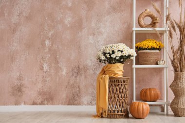 Raflarda güzel kasımpatı çiçekleri ve bej rengi grunge duvarı olan bir oda var.