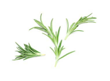 Taze yeşil biberiye beyaz arkaplanda izole edilmiş, yakın plan.