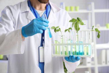 Laboratuvarda test tüpleri ve bitki örnekleriyle erkek tarım mühendisi, yakın plan.