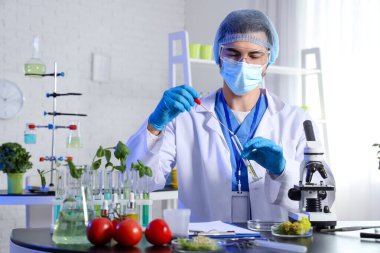 Laboratuvarda test tüpüyle çalışan erkek tarım mühendisi