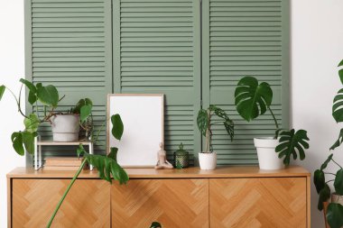 Çekmeceler, katlanan ekran ve beyaz duvarın yanındaki Monstera bitkileri.