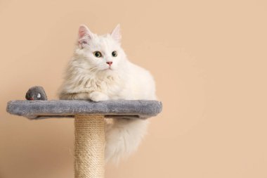 Sevimli beyaz kedi ve oyuncak fare bej arka planda kazıma kazıma direğinde yatıyor.