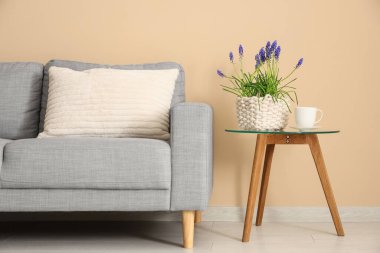 Güzel Muscari çiçekli bir masa, bir fincan kahve ve renkli duvarın yanında şık bir kanepe.