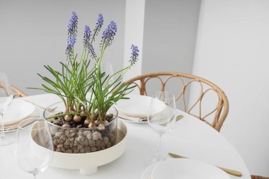 Yemek odasında güzel Muscari çiçekleri olan masa.