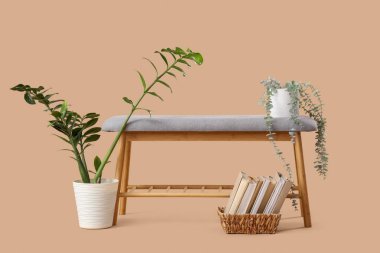 Bitkileri ve bej arkaplan üzerine kitapları olan yumuşak bank