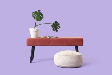 Pembe bankta dergiler, palmiye bitkisi ve eflatun kaplama.