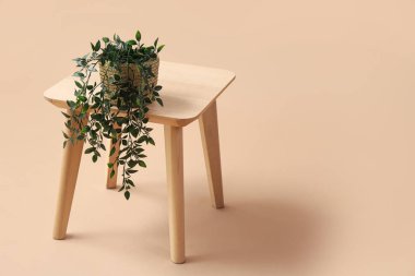 Bej arkaplan üzerinde suni bitki