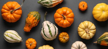 Koyu arkaplanda bir sürü taze bal kabağı