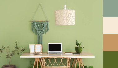 Ofis içi, işyeri ve yeşil duvarın yanındaki ev bitkileri. Farklı renk desenleri