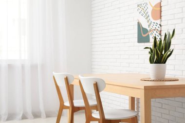 Ahşap yemek masasında ev bitkisi ve şık bir odada sandalyeler.